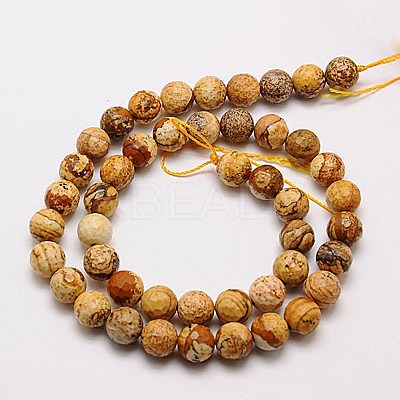 Natural Picture Jasper Beads Strands G-G542-6mm-08-1