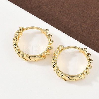 Brass Twist Hoop Earrings EJEW-G446-03G-1