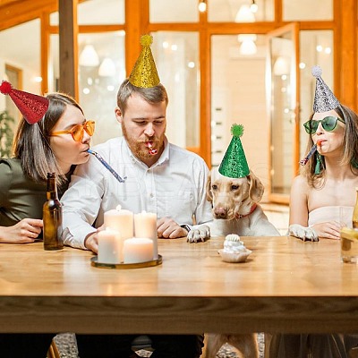 16Pcs 8 Colors  Polyester Pet Birthday Hat AJEW-GO0002-19-1