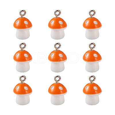 Plastic Pendants KY-TA0001-15F-1