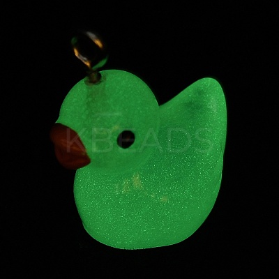 Luminous Opaque Resin Cartoon Pendants CRES-Z004-01C-P-1