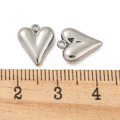 Non-Tarnish 304 Stainless Steel Charms STAS-L022-108P-07-1