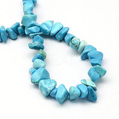 Dyed Synthetic Turquoise Stone Bead Strands G-R192-B24-1