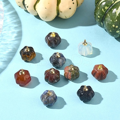 10Pcs Natural & Synthetic Mixed Gemstone Pumpkin Charms with Golden Tone Brass Bails G-YW0002-45-1