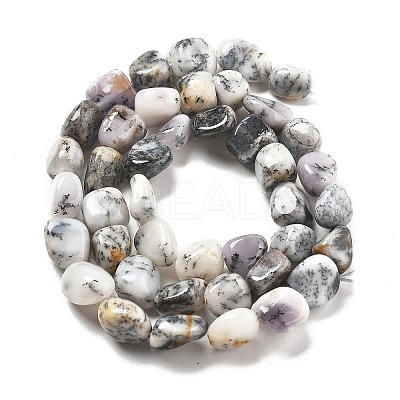Natural White Opal Beads Strands G-C179-F02-01-1