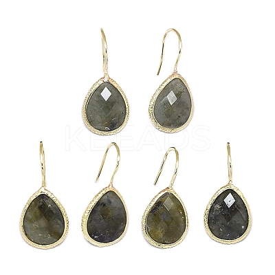Natural Gemstone Dangle Earrings EJEW-L228-01-1