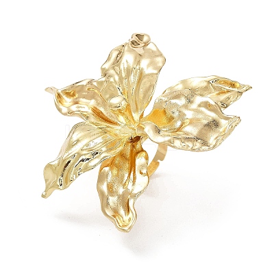 Alloy Finger Rings for Women LS-RJEW-L127-01G-1