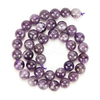Natural Amethyst Beads Strands G-OC0001-63-10mm-1