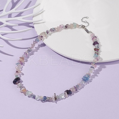 Natural Fluorite Chip Beaded Necklace NJEW-JN03824-02-1
