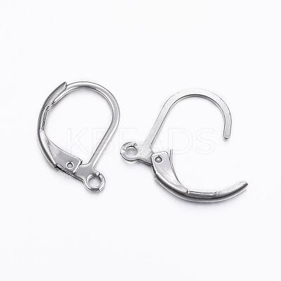 Tarnish Resistant 304 Stainless Steel Leverback Earring Findings STAS-H376-100-1