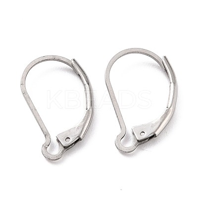 Non-Tarnish 304 Stainless Steel Leverback Earring Findings STAS-K233-04P-1