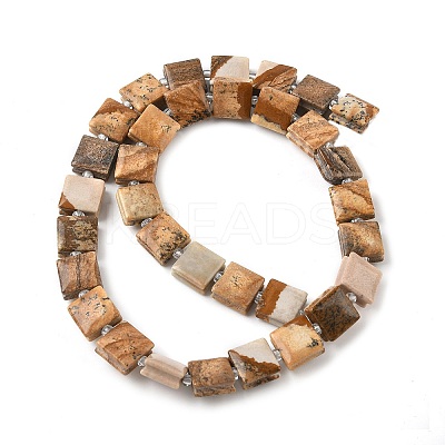 Natural Picture Jasper Beads Strands G-F802-B06-01-1
