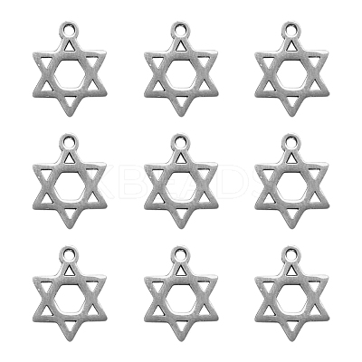 304 Stainless Steel Charms STAS-CJ0002-06-1