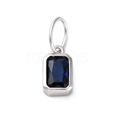 925 Sterling Silver Cubic Zirconia Charms STER-NH0014-01P-10-1