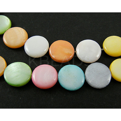 Natural Shell Beads Strands X-SHS034-1-1