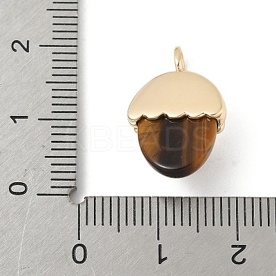 Natural Tiger Eye Pendants KK-Z107-02G-02-1