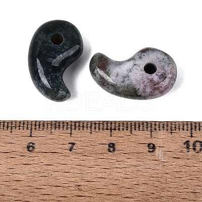 Natural Indian Agate Pendants G-S294-07B-15-1