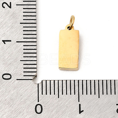 304 Stainless Steel Micro Pave Cubic Zirconia Pendants STAS-P431-22G-1