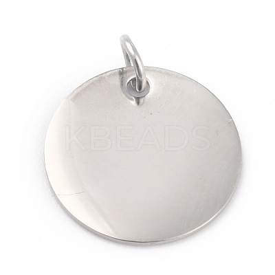 Non-Tarnish 304 Stainless Steel Charms STAS-H159-01P-1