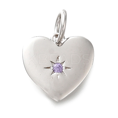 925 Sterling Silver Micro Pave Clear Cubic Zirconia Charms STER-V001-01P-02-1