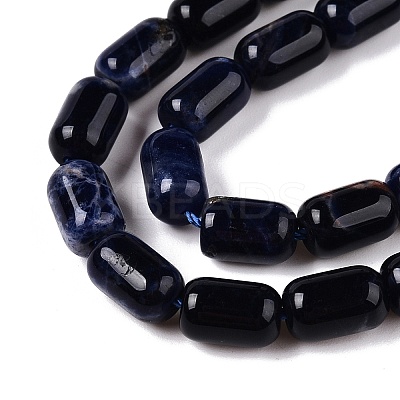 Natural Sodalite Beads Strands G-G980-37B-1