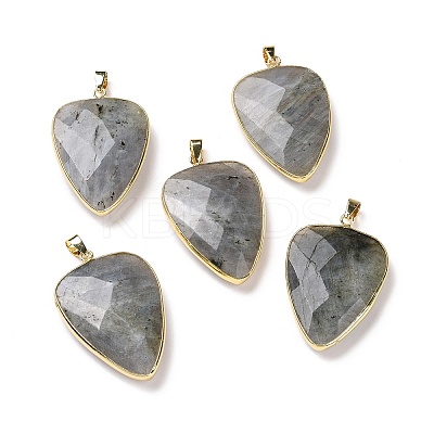 Faceted Natural Labradorite Pendants X-G-F340-02D-1