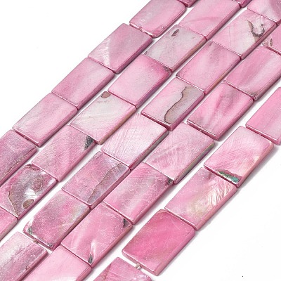 Natural Freshwater Shell Beads Strands SHEL-C003-04-1