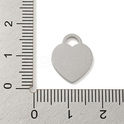Non-Tarnish 304 Stainless Steel Pendants FIND-M017-01P-K-1