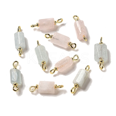 Natural Rose Quartz/Aquamarine Connector Charms FIND-C046-10B-G-1