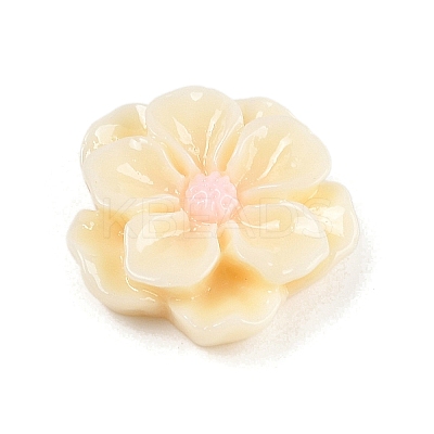 Opaque Resin Cabochons CRES-D283-01C-03-1