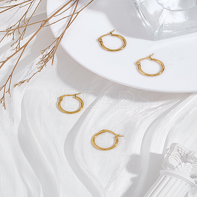 2Pairs 304 Stainless Steel Hoop Earrings EJEW-LP0012-17-1