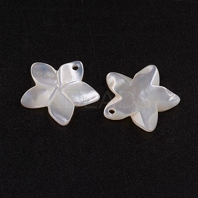 Natural White Shell Mother of Pearl Shell Pendants LS-SSHEL-G014-60-1