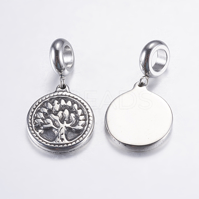 304 Stainless Steel European Dangle Charms STAS-P183-30AS-1