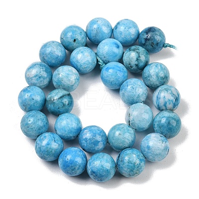 Natural Gemstone Hemimorphite Round Beads Strands G-L145-14mm-01-1