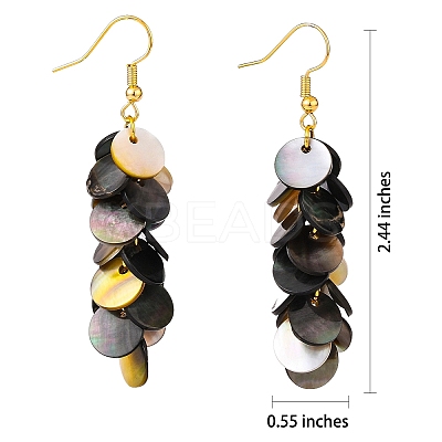 Natural Black Lip Shell Dangle Earrings X1-EJEW-JE04370-1