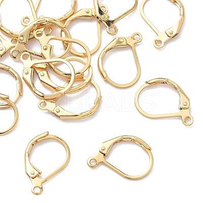 SHEGRACE Brass Leverback Earring Findings XGR0071G-48G-1
