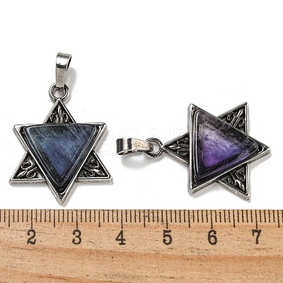Natural Fluorite Pendants G-G147-08AS-01-1