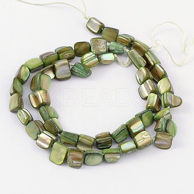 Erose Shell Beads Strands PBB068Y-1