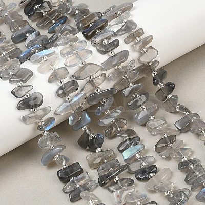 Natural Labradorite Beads Strands G-C273-B01-1