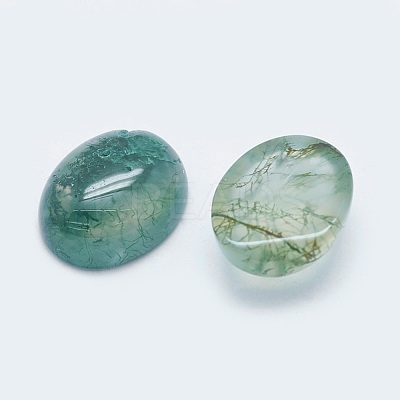 Natural Moss Agate Cabochons X-G-G759-Z12-1