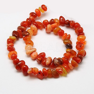 Nuggets Natural Red Carnelian Beads Strands G-N0128-69-1