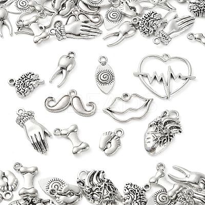 100Pcs 10 Styles Tibetan Style Alloy Charms TIBEP-CJ0002-51-1