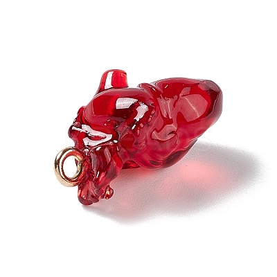 Transparent Resin Pendants X-RESI-E028-01G-01-1