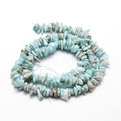 Natural Larimar Chip Beads Strands G-E271-77-1