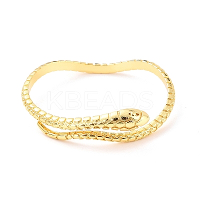 Snake Grooved Cuff Bangle BJEW-D448-24G-RS-1