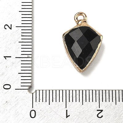 Natural Black Onyx(Dyed & Heated) Pendants G-K422-01G-07-1