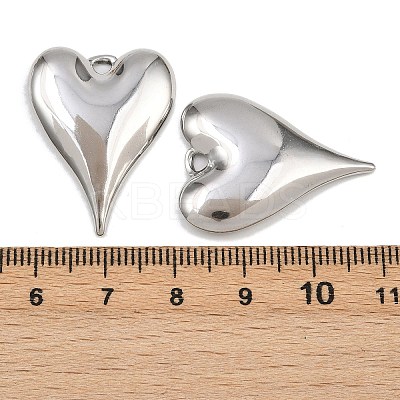 304 Stainless Steel Pendants STAS-L303-14P-1