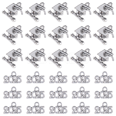 2 Styles Tibetan style Alloy Pendants PALLOY-SC0012-66-1