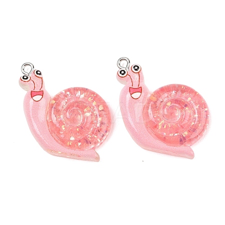 Transparent & Opaque Resin Pendants RESI-P048-02B-P-1