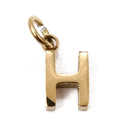 304 Stainless Steel Charms SA-CBABF3F-01G-H-1